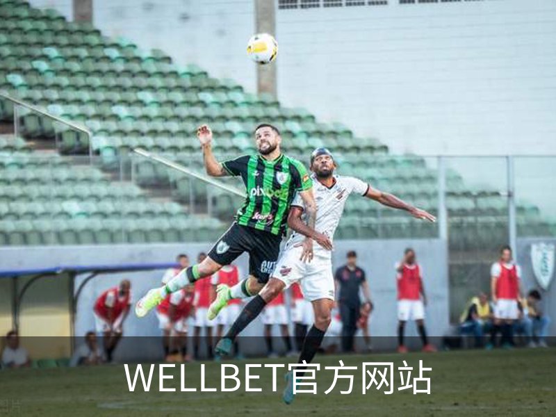 WELLBET官方网站简介