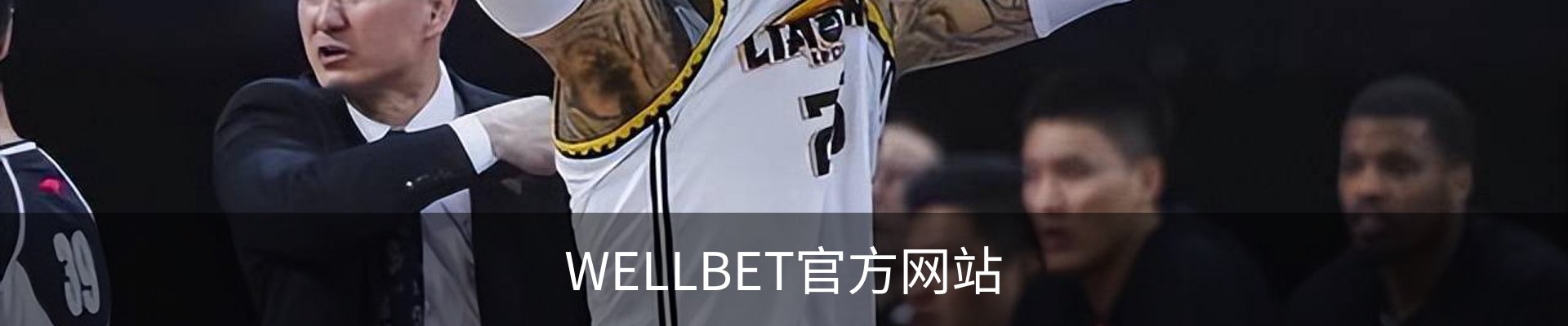 WELLBET官方网站